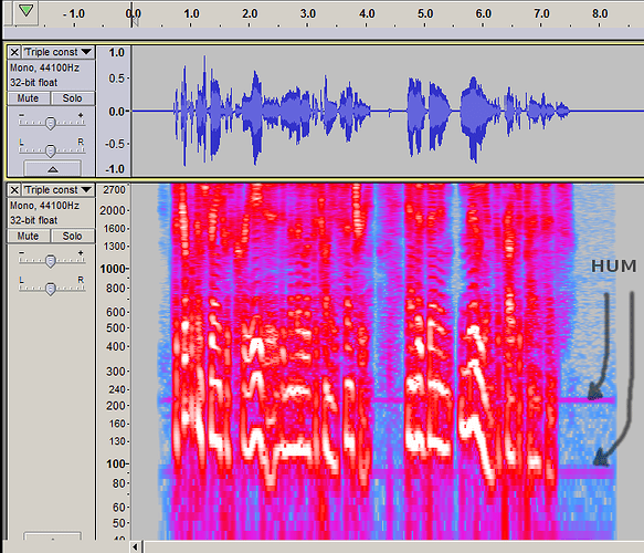 Constant hum shown on Audacity spectrogram.png