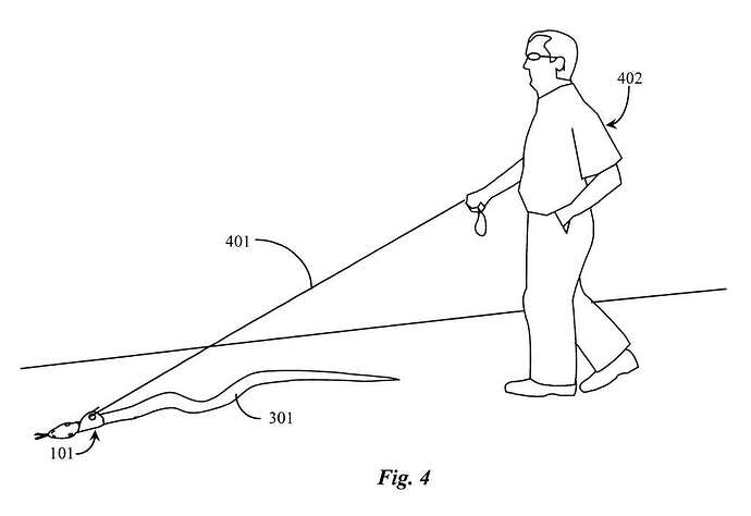 snake leash US06490999-20021210-D00004-1024.jpg