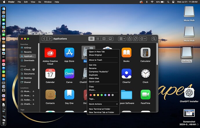 Screenshot 2024-07-31 at 11.29.14 AM