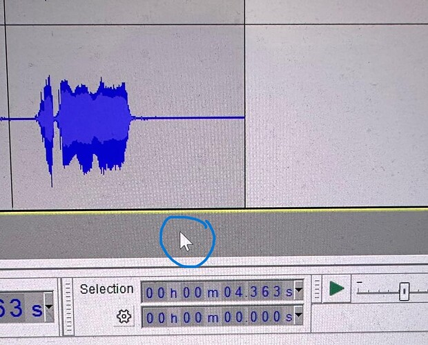 Audacity Cursor #1