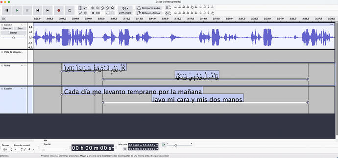 Audacity 3.7.9 multi-language layout