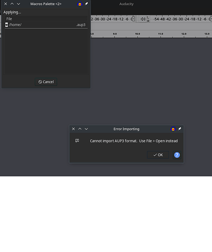 audacity error