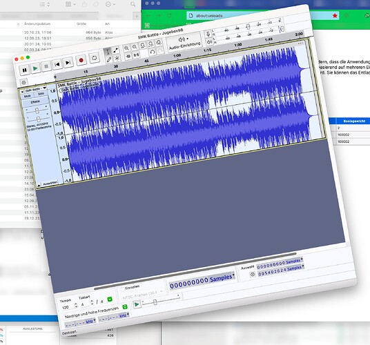 Audacity window looks strange