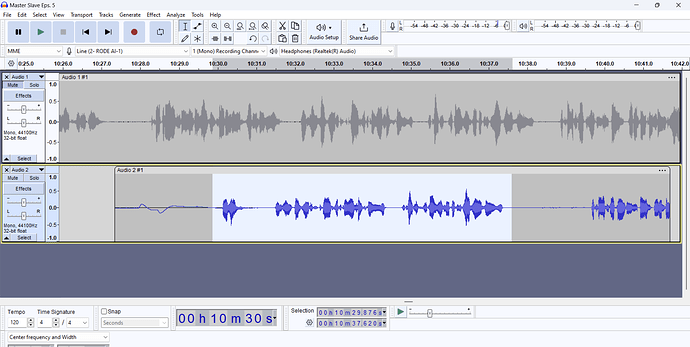 Audacity Glitch