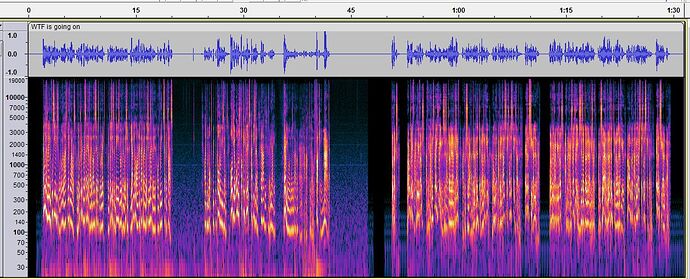 wtf noise gate
