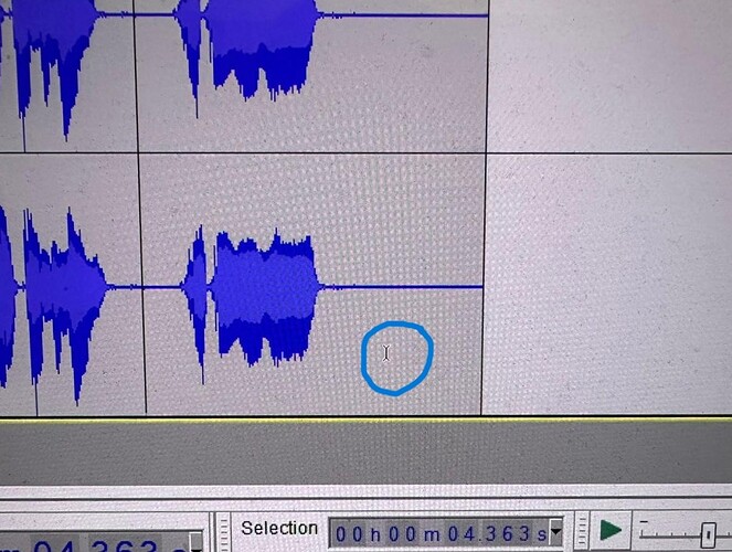 Audacity Cursor #2