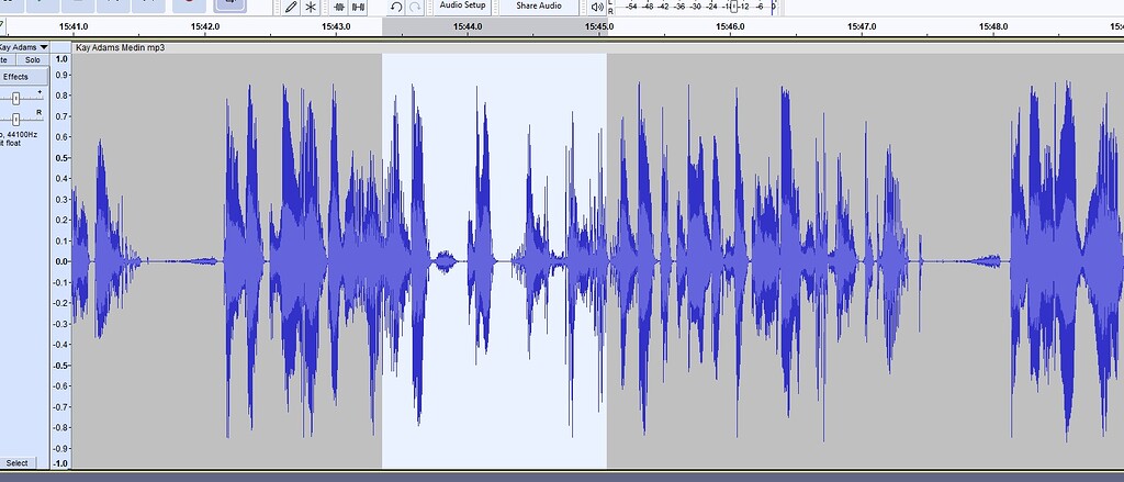 Audacity stopped playing only the highlighted audio - Audacity 3 Help ...