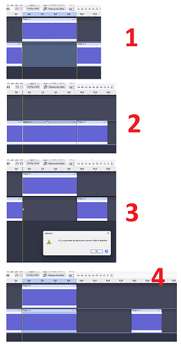 audacity not enough place