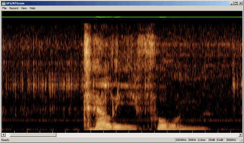 real-time spectrogram (''rtgram'').png