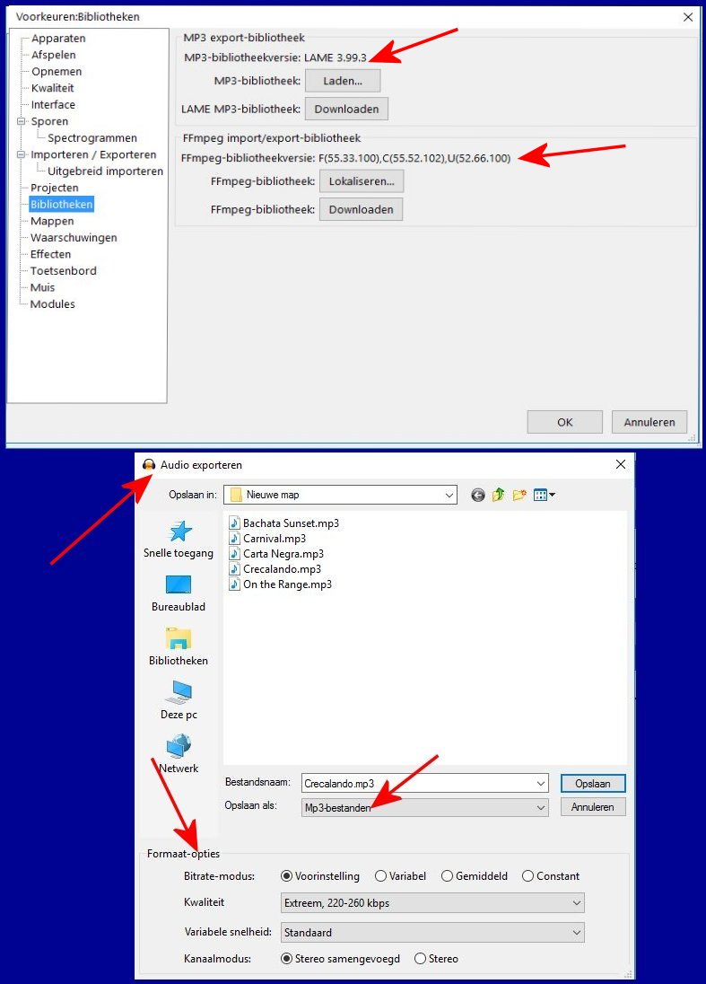 Lame settings [SOLVED] - Windows - Audacity Forum