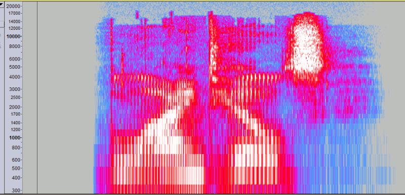 Spectrogram display of Paul-L DeClicker on ''blind hills''.gif