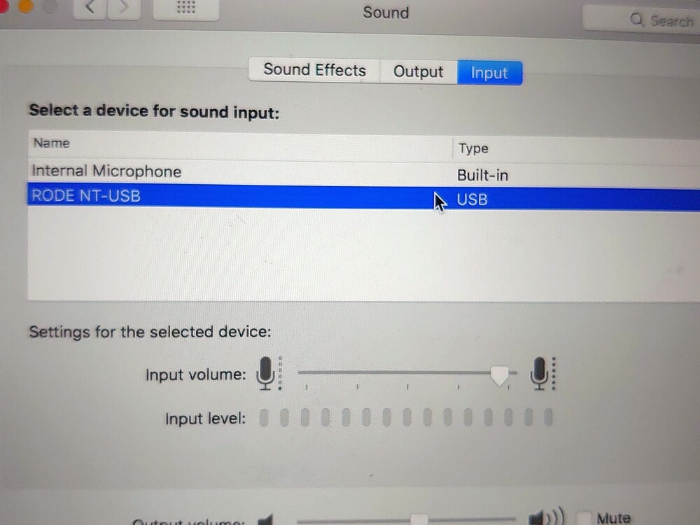 Fen's Quicktime.JPG