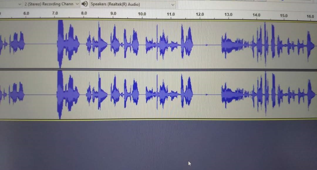 Separate audio while recordings - Audio Processing - Audacity Forum