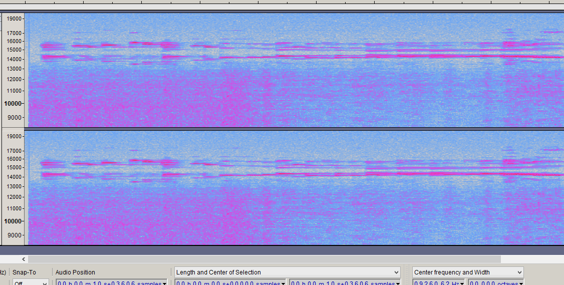 remove above 13kHz demo.gif