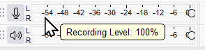 Recording Level: 100%