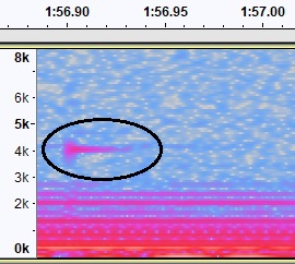 audacity_2018-09-13_12-44-40.jpg