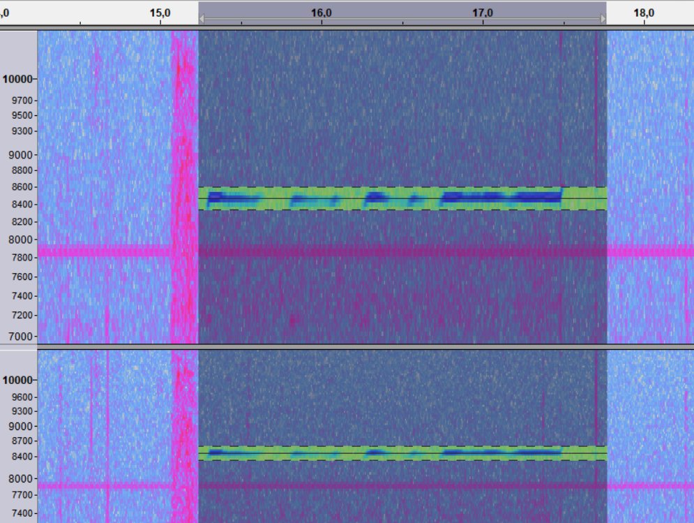 Audacity spectrogram.jpg