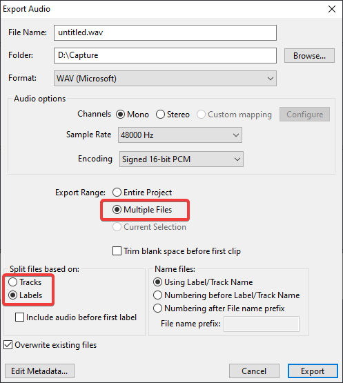 Audacity Export Audio window