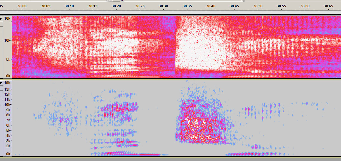 Audacity 2.2.2 Spectrogram and enabling spectral selection causes