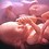Harold_Simms_2022